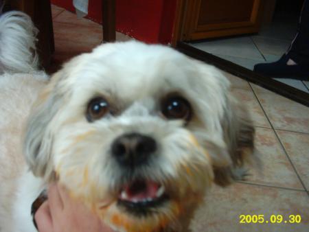 mon pilou